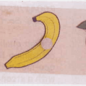 PS048 Fruit Sorting Puzzle Board