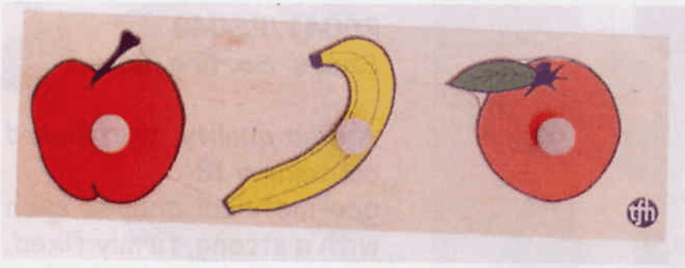 PS048 Fruit Sorting Puzzle Board