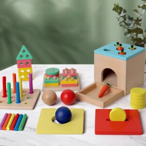 PS088 Multi-Shape Sorting Box