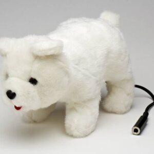 CEO73 Switch Adapted Polar Bear