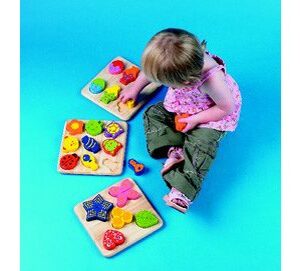 PS071 Shape Form Puzzle Board
